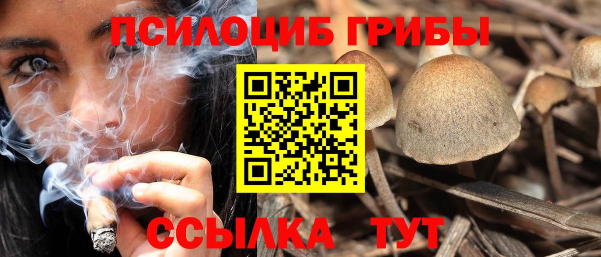 Галлюциногенные грибы GOLDEN TEACHER Асино